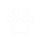 PET-FRIENDLY