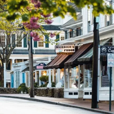 Street view of shops and trees near Franklin Hotel with blooming purple flowers