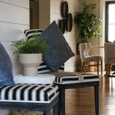 Stripped seating with blue pillows and potted plant in lobby at Franklin Hotel