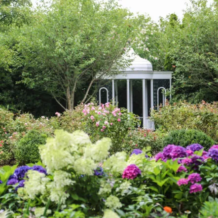 Garden with colorful flowers and a white gayebo near Franklin Hotel