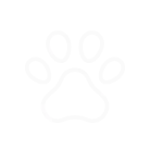 PET-FRIENDLY